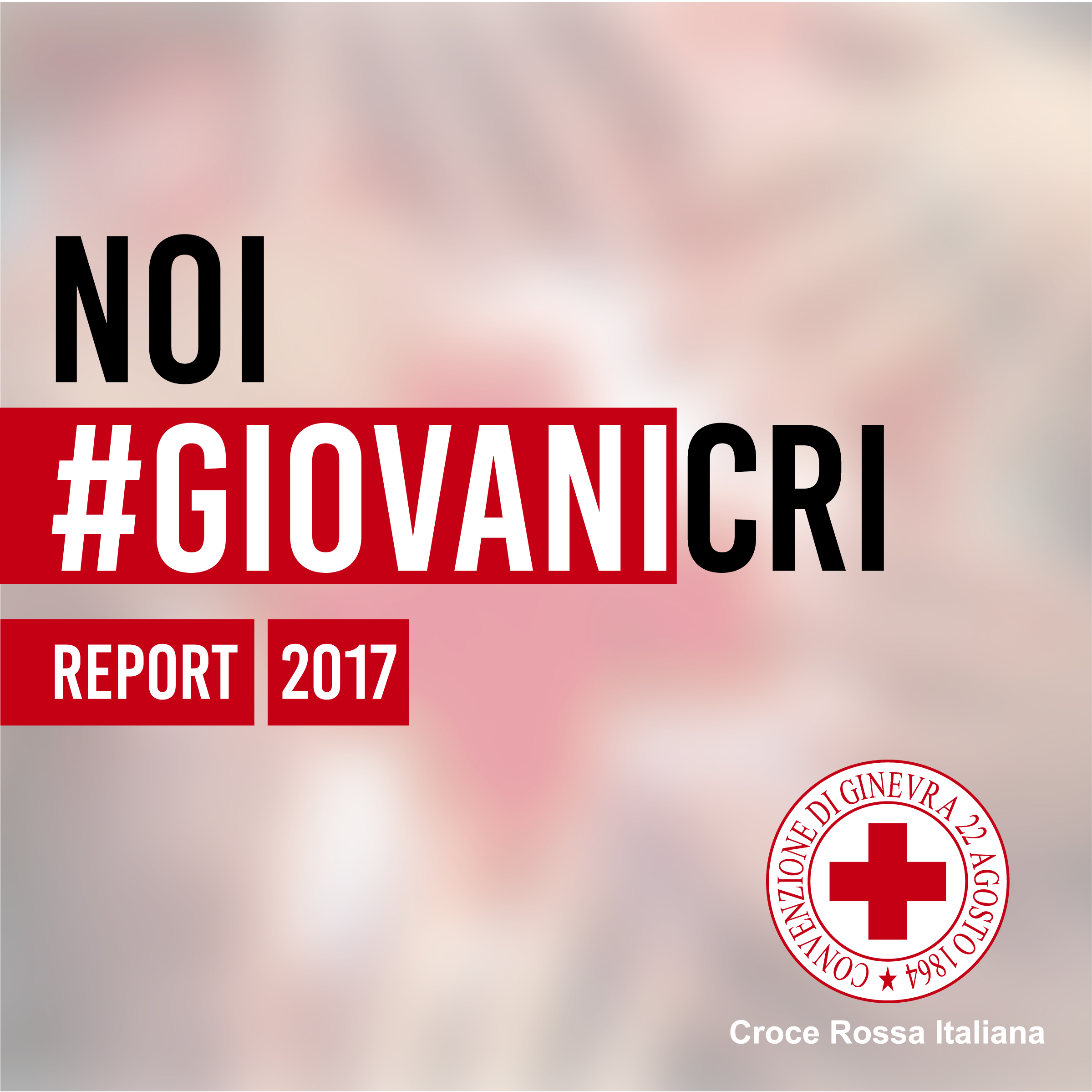 Noi #GiovaniCRI – Report 2017