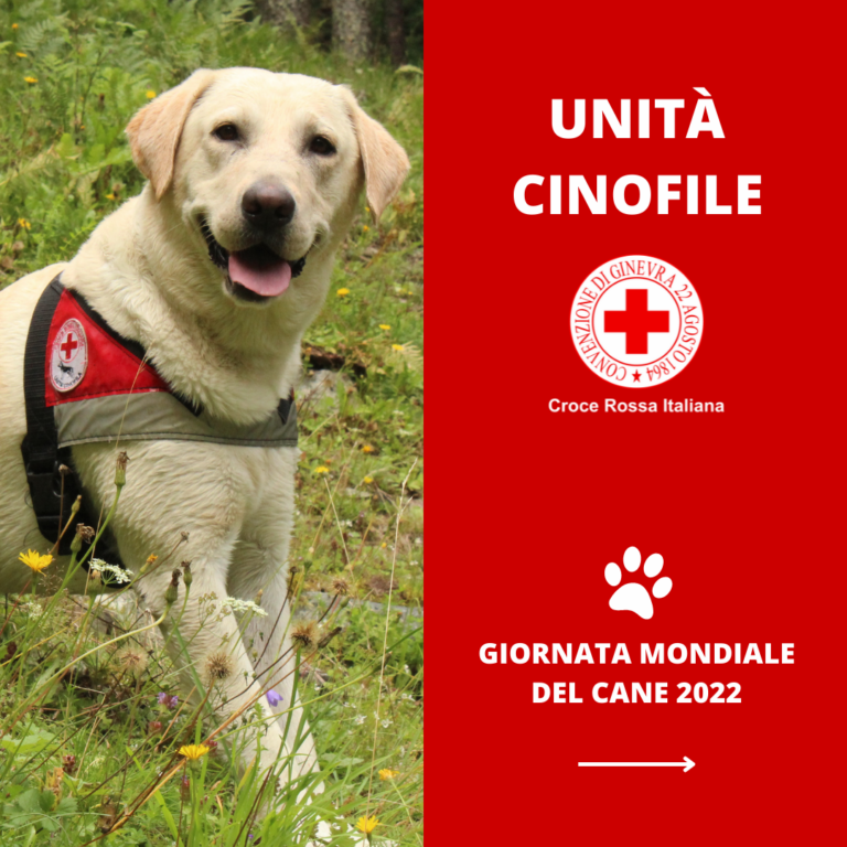 Giornata mondiale del cane 2022 370 volontari CRI a quattro zampe