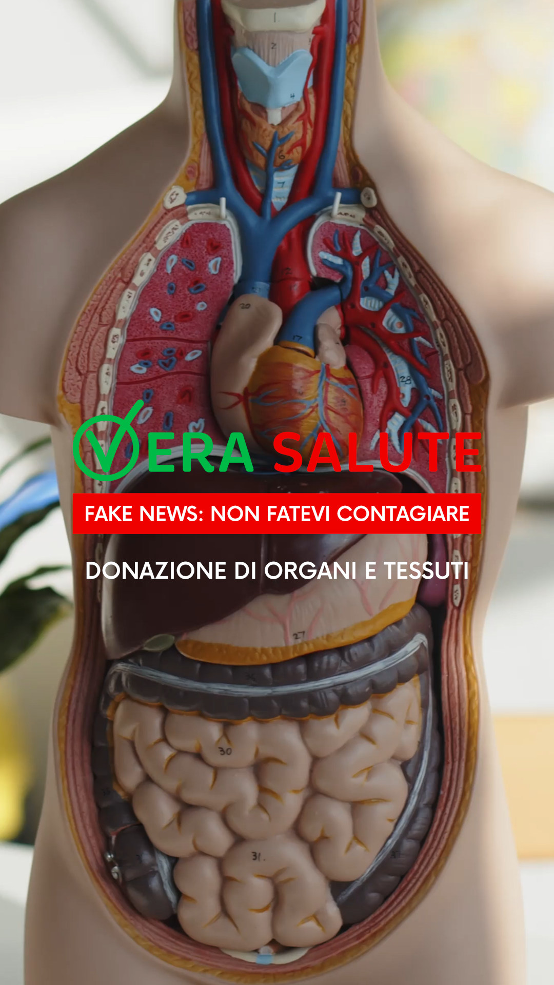 Copertina – Fake News Donazione organi e tessuti