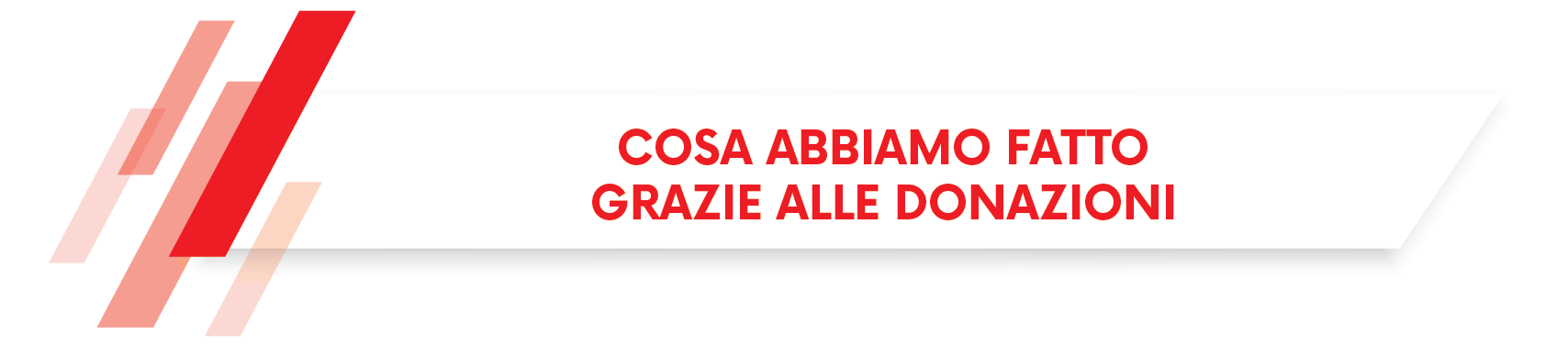 Cosa abbiamo fatto grazie alle donazioni