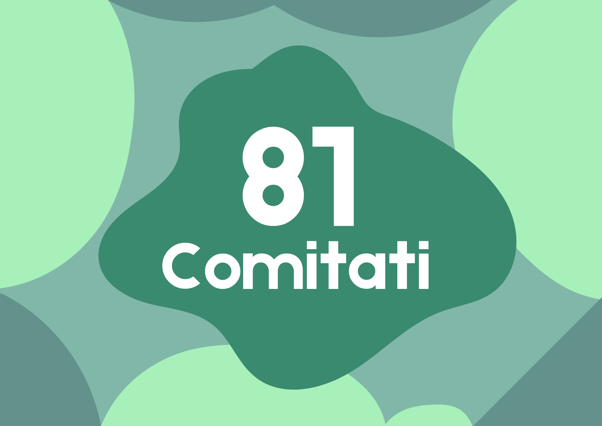 81 comitati