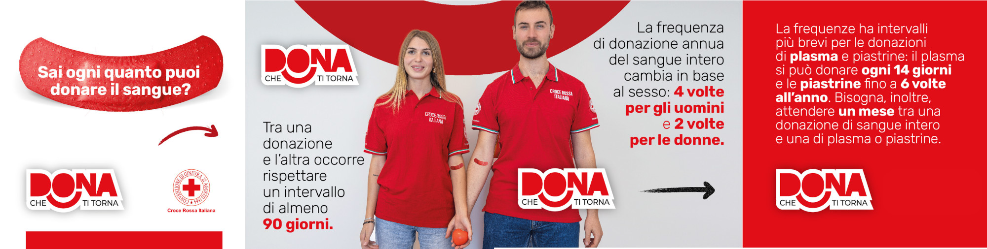 Toolkit dona che ti dorna