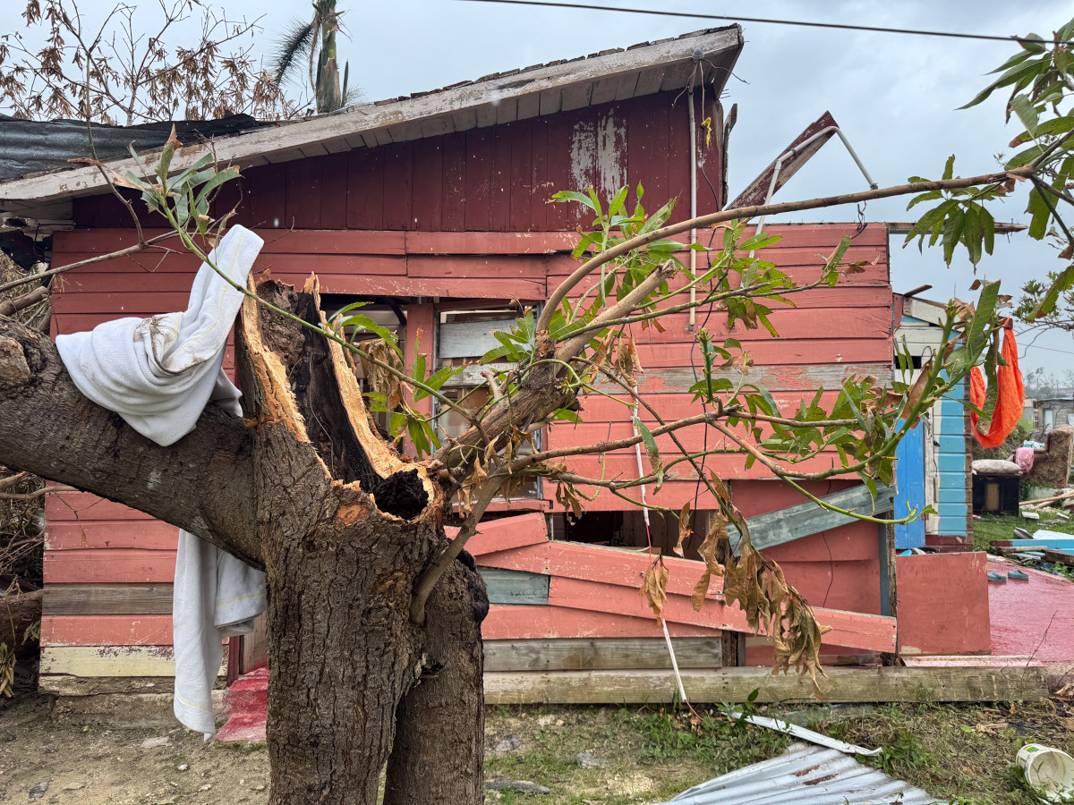 Country: Jamaica
Date: 5 November 2025

Description:
Following the passage of Hurricane Melissa, the Jamaica Red Cross is supporting shelter management across the island. A total of 881 shelters were activated, with the Red Cross currently managing 20, ensuring safe sheltering and access to essential services for people at risk.

Many affected families are returning to the ruins of their homes during the day and sleeping in shelters at night. In Westmoreland, some shelters are accommodating up to 300 people nightly.

This photo follows hurricane survivor Dwayne Francis as he walks through his neighbourhood in the aftermath of the storm, revealing what remains of his home, now lying in rubble — a stark reflection of the widespread destruction faced by communities across the region.