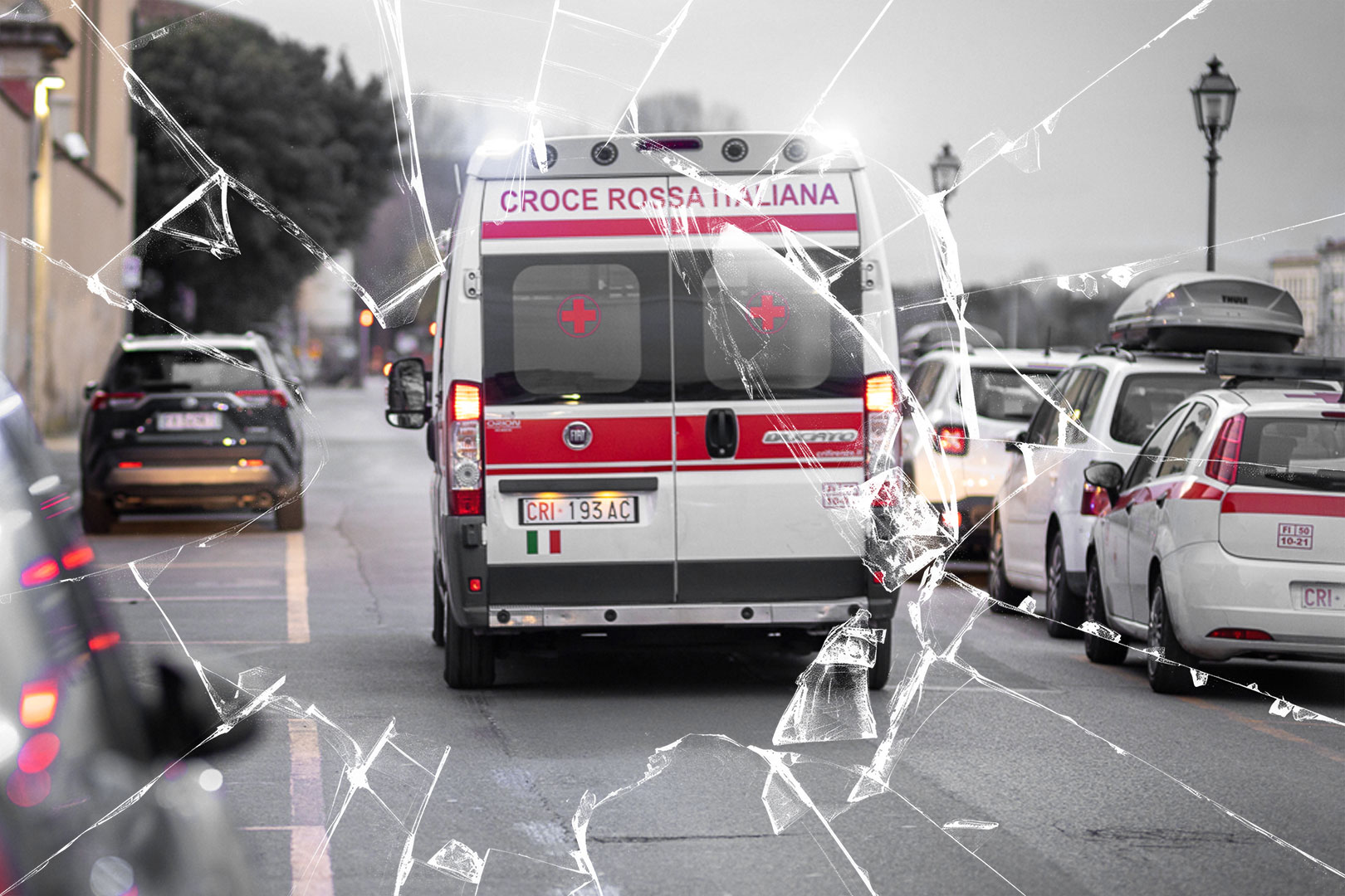 Copertina-NSB-prova-01