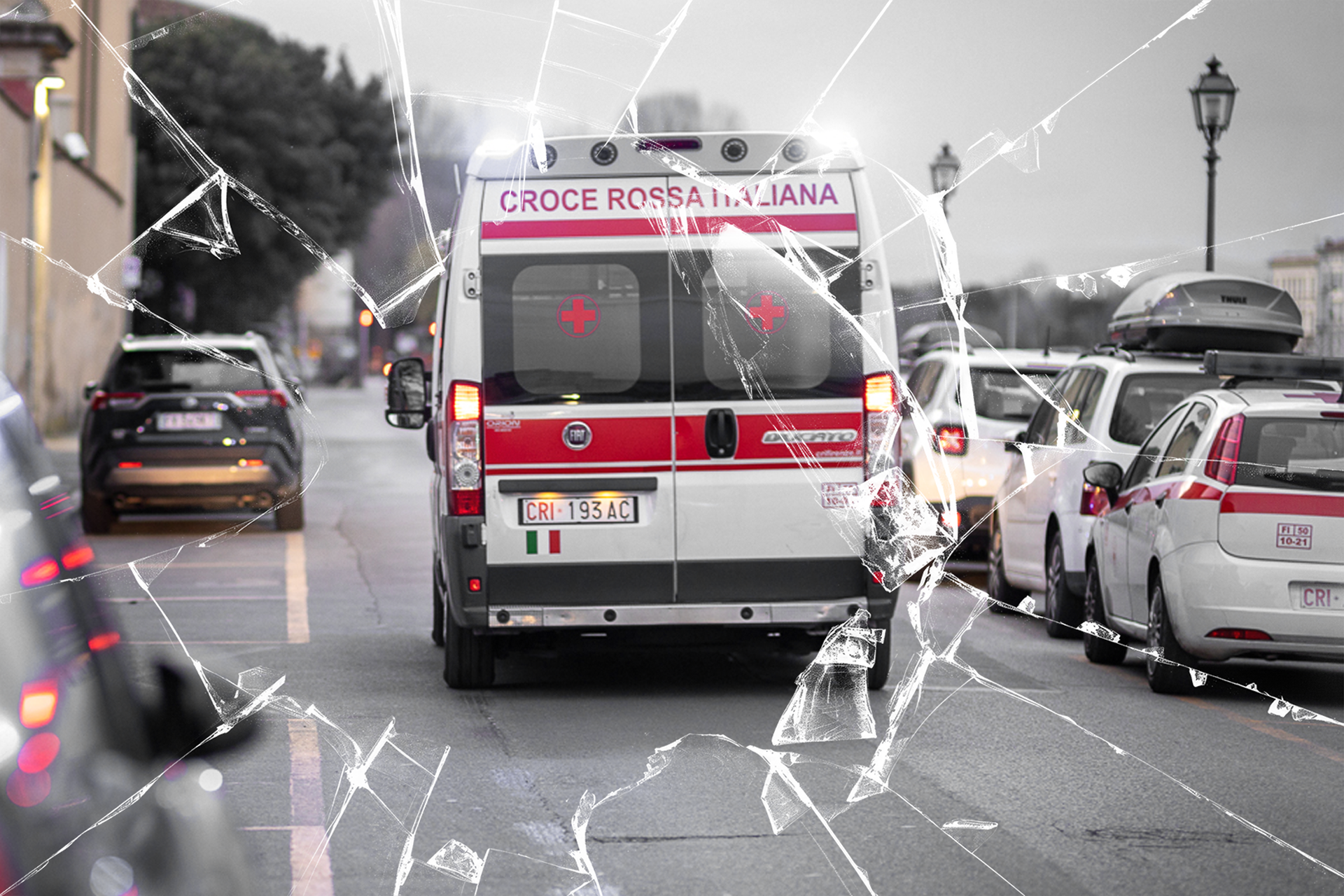 Copertina-NSB-prova-01