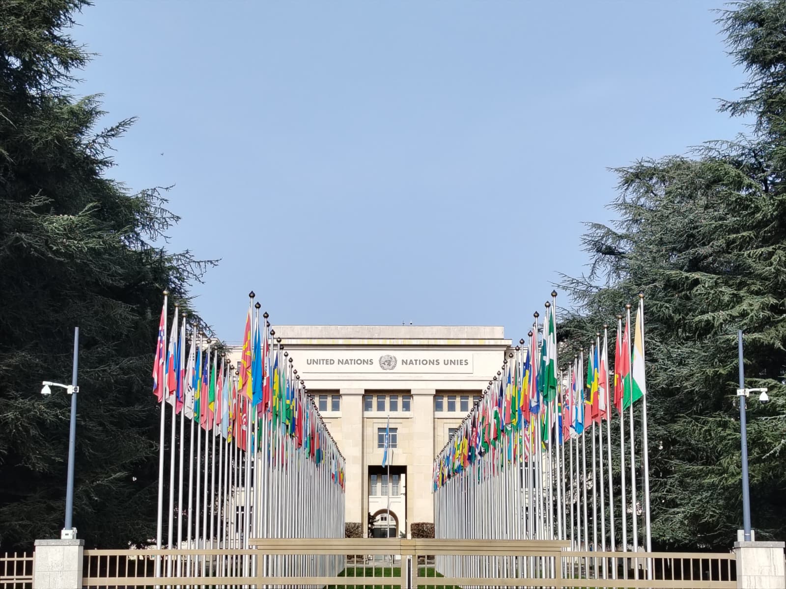 WhatsApp Image 2026-03-10 at 17.17.17 (2)