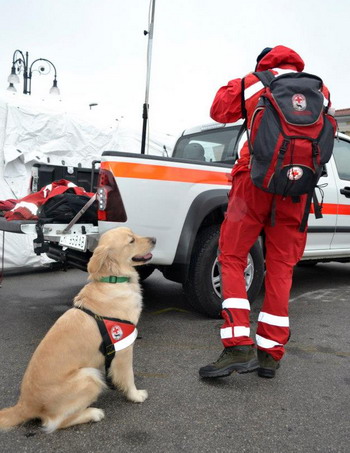 cane e volontario Croce Rossa