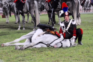 Carosello Storico dei Carabinieri a cavallo