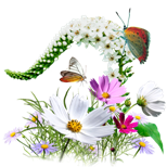 Icona con fiori, piante e farfalle